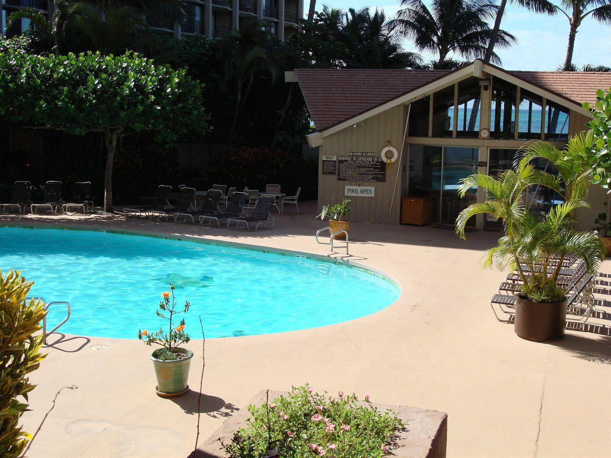 Ocean View Suite At Royal Kahana Exteriör bild