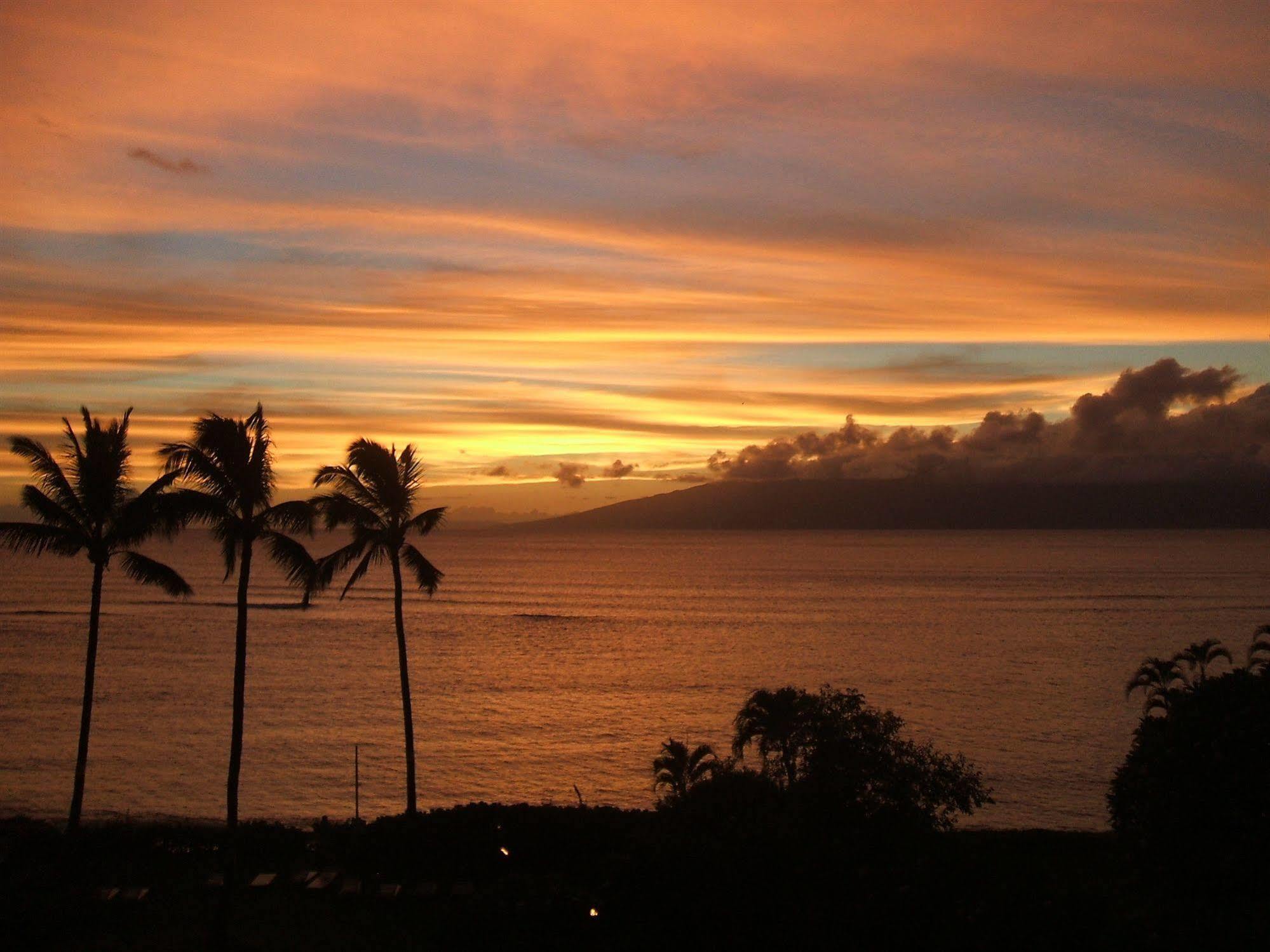 Ocean View Suite At Royal Kahana Exteriör bild
